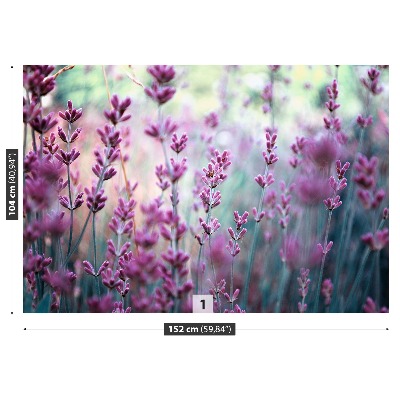 Mural de parede Verde Lavanda