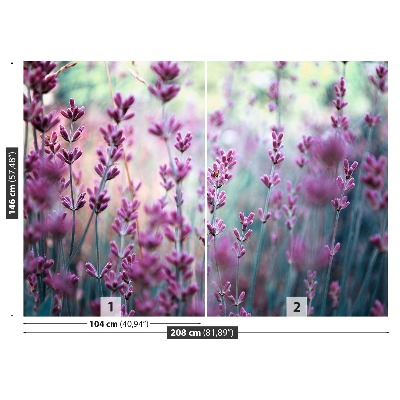 Mural de parede Verde Lavanda