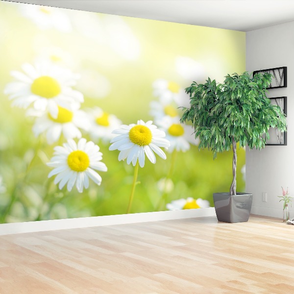 Mural de parede Prado Margarida