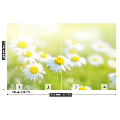 Mural de parede Prado Margarida