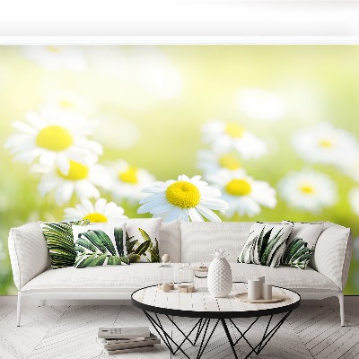 Mural de parede Prado Margarida