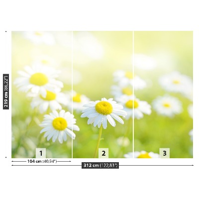 Mural de parede Prado Margarida