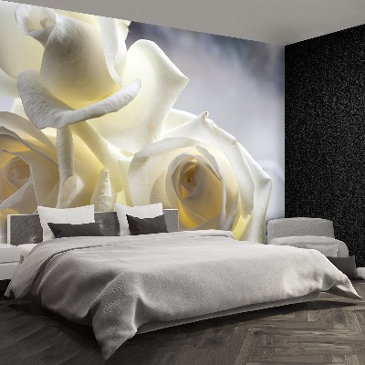 Papel de parede rosas brancas