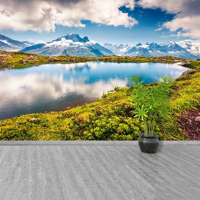 Papel de parede Monte Branco