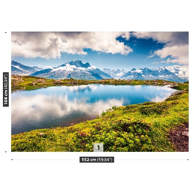 Papel de parede Monte Branco