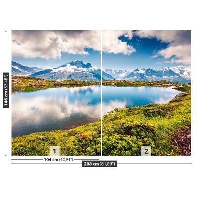 Papel de parede Monte Branco