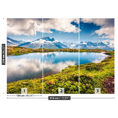 Papel de parede Monte Branco