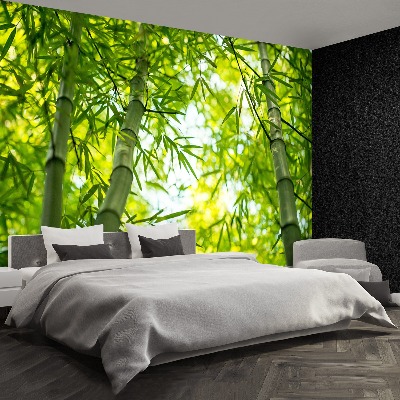 Mural de parede Galho de bambu