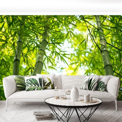 Mural de parede Galho de bambu