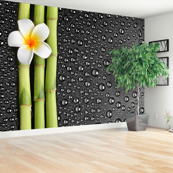 Papel de parede Flor de frangipani