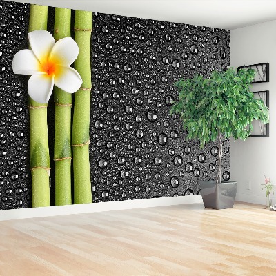 Papel de parede Flor de frangipani