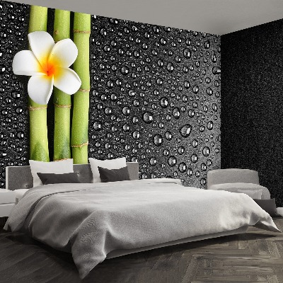 Papel de parede Flor de frangipani