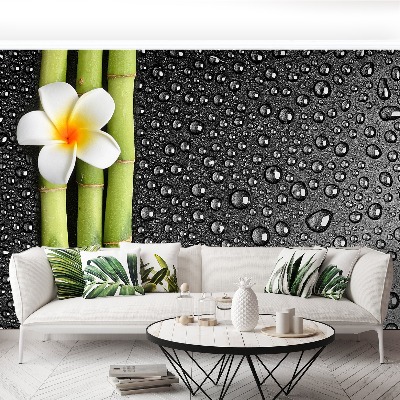 Papel de parede Flor de frangipani