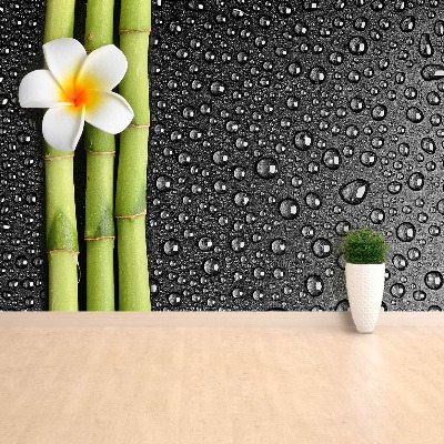 Papel de parede Flor de frangipani