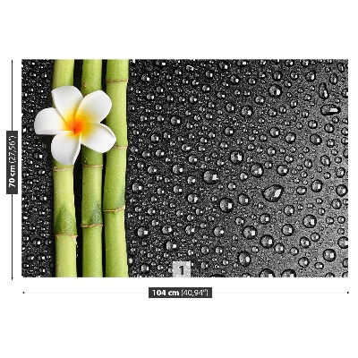 Papel de parede Flor de frangipani