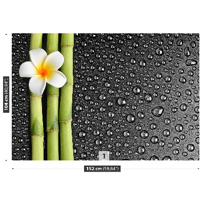 Papel de parede Flor de frangipani