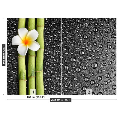 Papel de parede Flor de frangipani