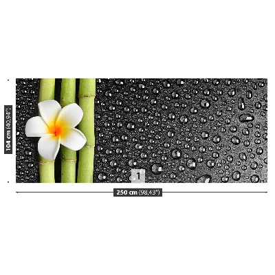 Papel de parede Flor de frangipani