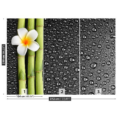 Papel de parede Flor de frangipani