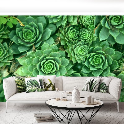Papel de parede Sedum Verde