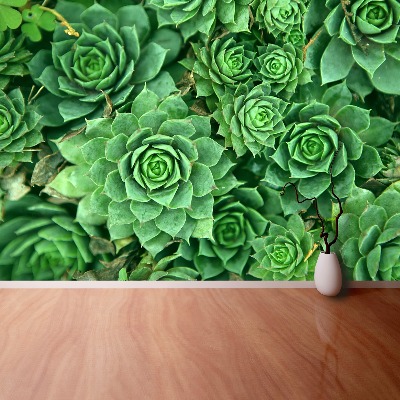 Papel de parede Sedum Verde