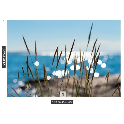 Mural de parede Água de junco