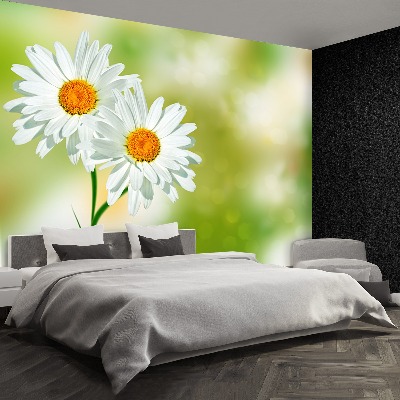 Papel de parede Camomila Branca