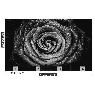 Papel de parede Rosa Negra