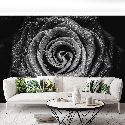 Papel de parede Rosa Negra