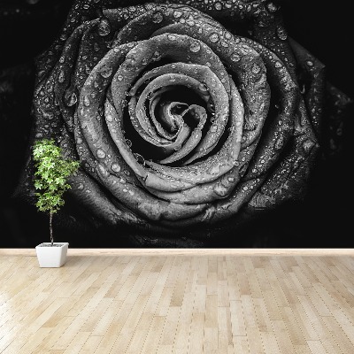 Papel de parede Rosa Negra