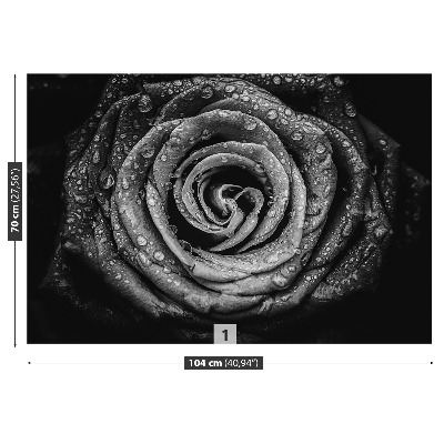 Papel de parede Rosa Negra