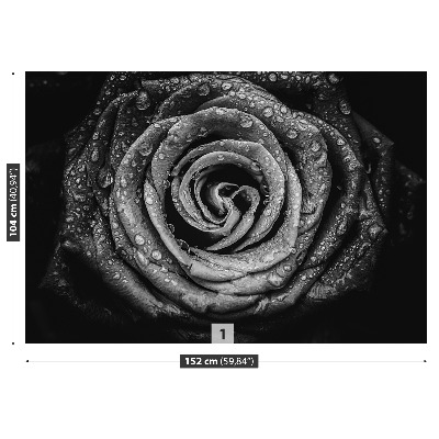 Papel de parede Rosa Negra