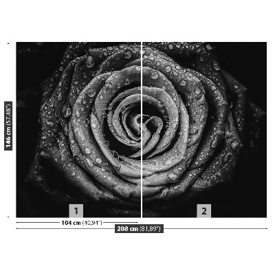 Papel de parede Rosa Negra