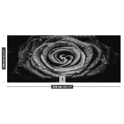 Papel de parede Rosa Negra