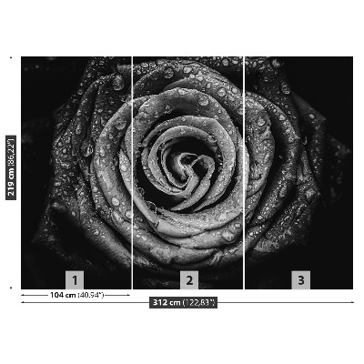 Papel de parede Rosa Negra