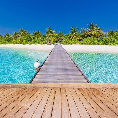 Papel de parede Praia de Palma