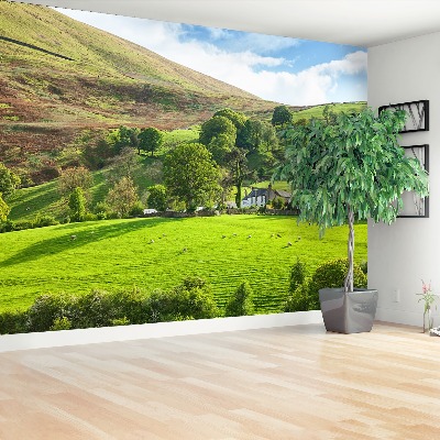 Mural de parede Primavera Cumbria