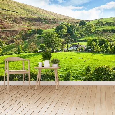 Mural de parede Primavera Cumbria