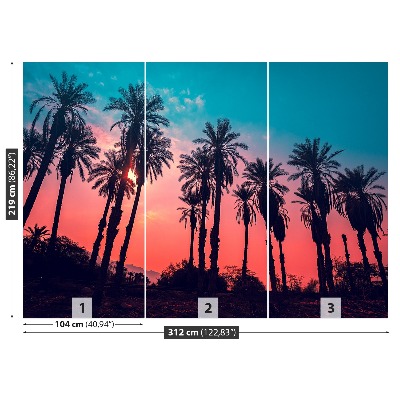 Papel de parede Palmeiras tropicais