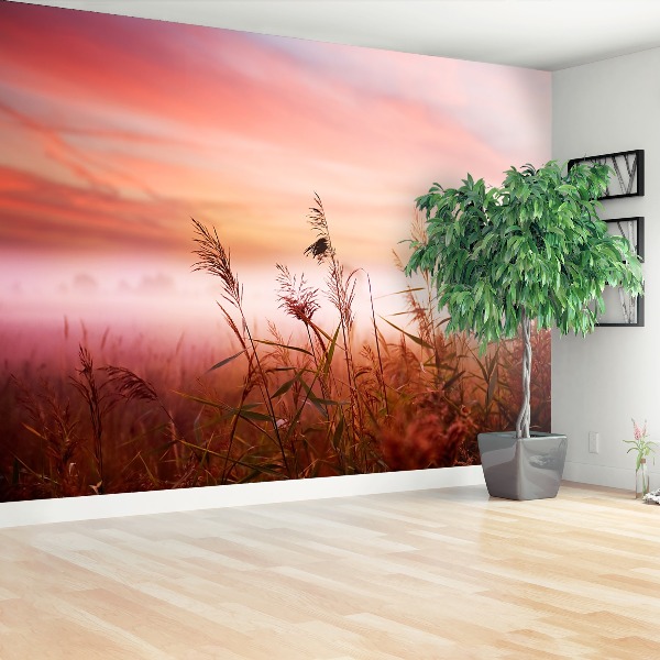 Papel de parede neblina matinal