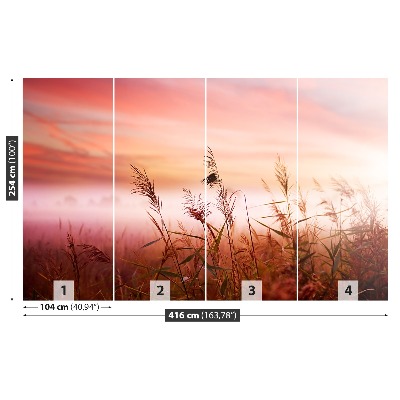 Papel de parede neblina matinal