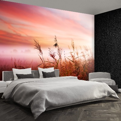 Papel de parede neblina matinal