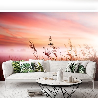 Papel de parede neblina matinal