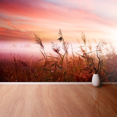 Papel de parede neblina matinal