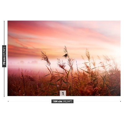 Papel de parede neblina matinal