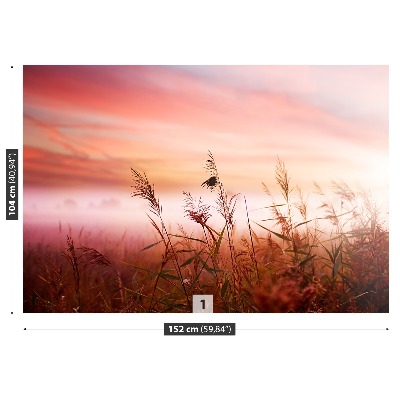 Papel de parede neblina matinal