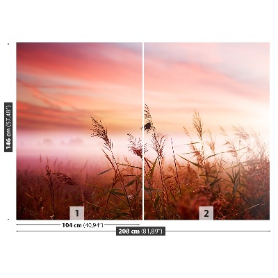 Papel de parede neblina matinal