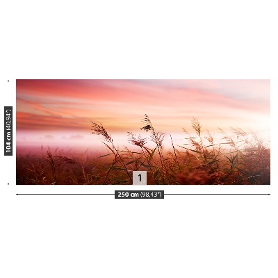 Papel de parede neblina matinal