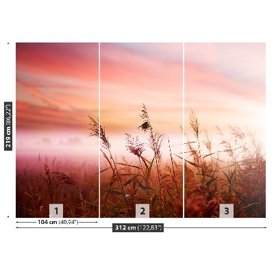 Papel de parede neblina matinal