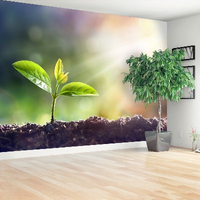 Papel de parede Broto Verde